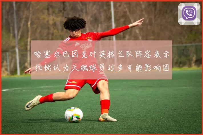 哈塞尔巴因克对英格兰队阵容表示担忧认为天赋球员过多可能影响团队合作