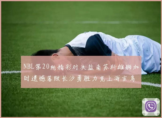 NBL第20轮精彩对决盐南苏科雄狮加时遗憾落败长沙勇胜力克上海玄鸟